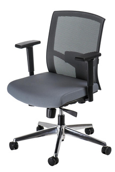 Kancelářská židle Ergo šedá/šedá