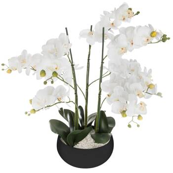 Umělá orchidej s černým květináčem 65 cm