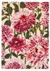 Koberec Dahlia Fuchsia Palm 250x350cm