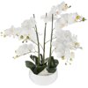 Umělá orchidej s bílým květináčem 65 cm