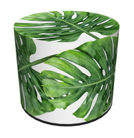 Monstera