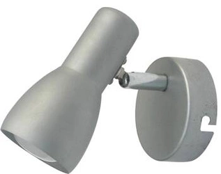 Nástěnné svítidlo Picardo stříbrné kovové moderní nastavitelné do obýváku a ložnice CANDELLUX