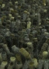 140x200 cm \ tmavě zelená