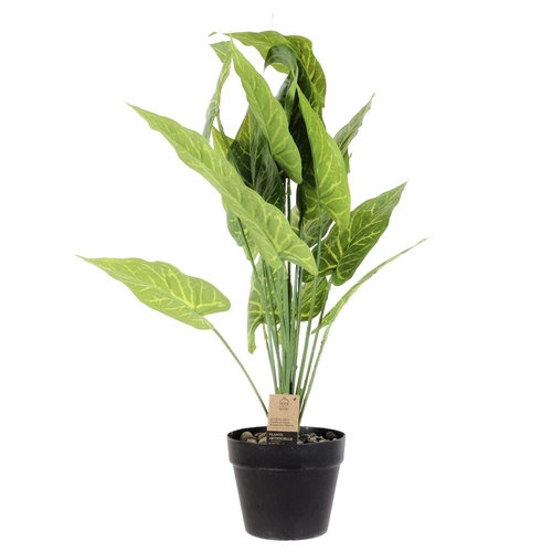 Umělá rostlina Alocasia Intesi 55 cm moderní dekorace do obýváku a ložnice jako živá