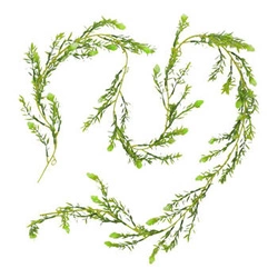 Umělá girlanda zelené poupata 170 cm Intesi moderní umělé rostliny do obýváku