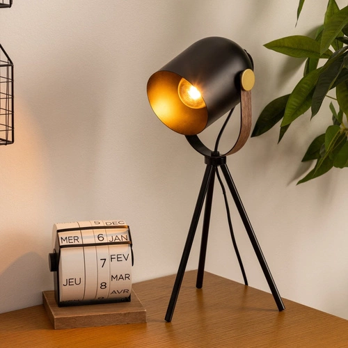 Atmosphera Bil stojací lampa černá loftová na stativu do obýváku s nastavitelným úhlem světla