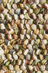 Mramorově zelený koberec 250x350cm