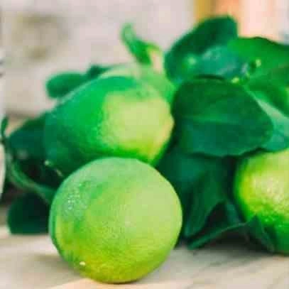 Cereria Molla Bergamotto di Calabria vonný olej do difuzéru 30ml pro domácnost