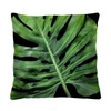 Dekorační sametový polštář Black Monstera 40x40 cm antialergenní do obýváku Intesi