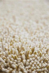 Koberec  Trace Cut mandarin orange 250x350cm