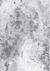 Měsíční světle šedý koberec 160x230 Magic Home