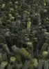 Koberec Shaggy Rocks zelený 170x240cm