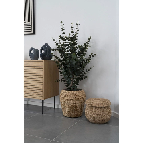 Umělý stromek Eukalyptus 120cm