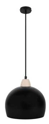 Závěsná lampa Monroe 1x60W E27 černá