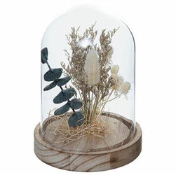 Sušené květiny pod stínidlem Dům