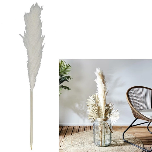 Přírodní tráva Pampas 120cm     