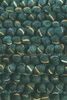 zelená \ 250x350cm
