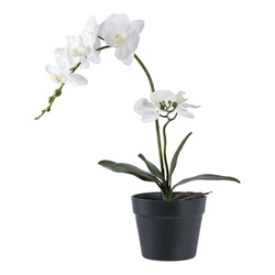 Umělá bílá orchidej Intesi moderní 47 cm dekorativní květiny do obýváku a ložnice
