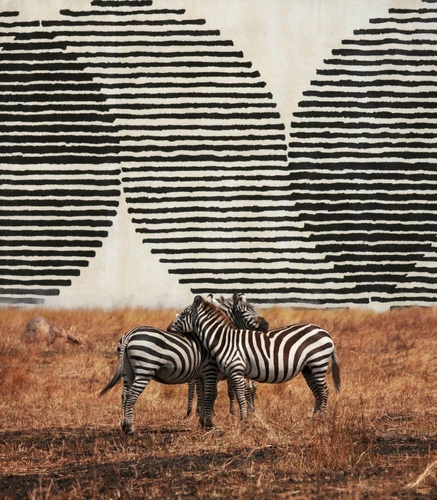 Moderní koberec do obývacího pokoje a ložnice Eclipse Ivory 200x300 ručně tkaný z viskózy černo-bílý