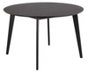 Kulatý jídelní stůl Roxby 120 cm černý moderní do jídelny a obýváku