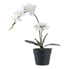 Umělá bílá orchidej Intesi moderní 47 cm dekorativní květiny do obýváku a ložnice