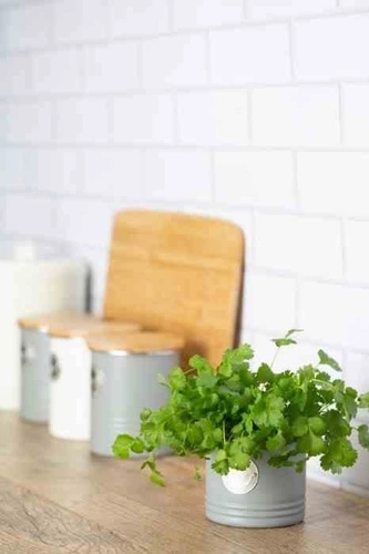 Kovový květináč na bylinky šedý Typhoon moderní obal do kuchyně 11 cm