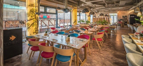 Čalouněná židle Fameg Cosy B-1404 s područkami do jídelny, obýváku nebo kanceláře, na míru