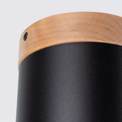 Stropní LED svítidlo RIF černé moderní do obýváku a ložnice SOLLUX LIGHTING