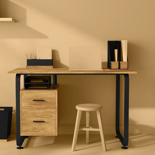 Organizátor časopisu Bava