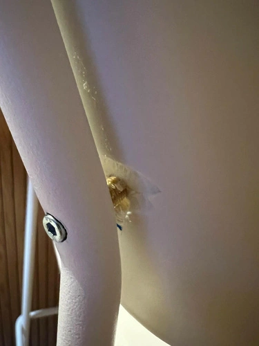 Barová židle Lisa 75 cm bílá Outlet