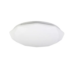 Stropní svítidlo Baldo stropní svítidlo 22cm 12W LED 4000K difuzor bílý