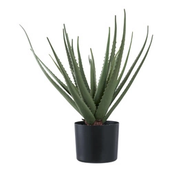 Umělá rostlina Aloe 51cm