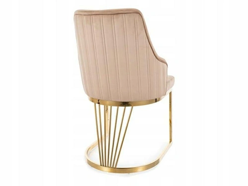Jídelní sametová béžová židle Shively Intesi se zlatými nohami