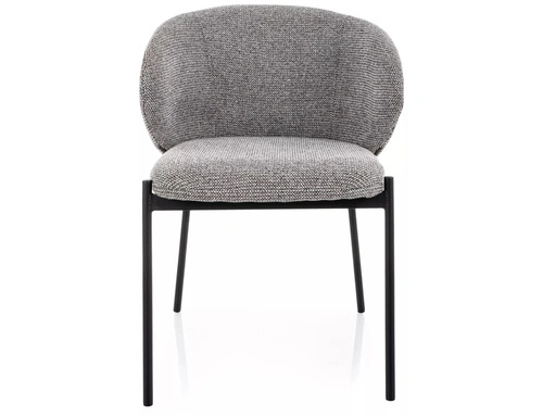 Jídelní čalouněná židle s područkami Elsme šedá Intesi