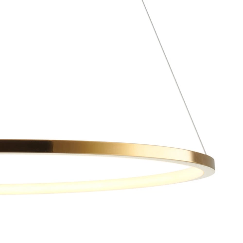 Moderní zlaté LED stropní svítidlo CIRCLE SLIM 60 cm do obýváku a nad stůl