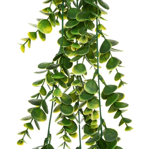 Závěsná umělá rostlina 75cm peperomia