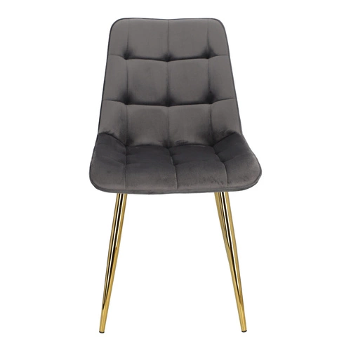 Jídelní židle Pilo šedá sametová čalouněná glamour se zlatými nohami Intesi