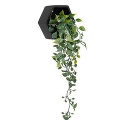 Umělá vinná réva Atmosphera v černém květináči, dekorativní umělá rostlina do obýváku