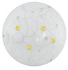 Stropní svítidlo Astro 30 1x10W LED 6500K amber