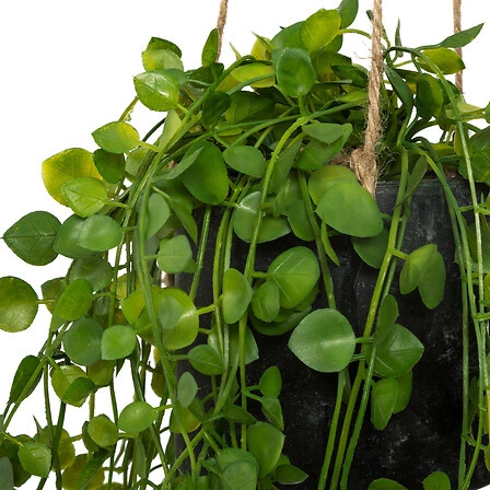 Umělá rostlina břečťanu v závěsném květináči