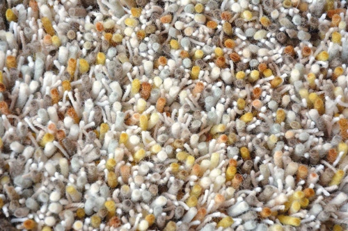 Hnědý shaggy koberec do obýváku Shaggy Young 200x280 moderní měkký vlněný Carpets&More