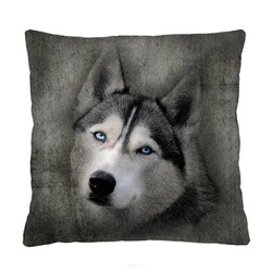 Sametový dekorační polštář HUSKY antialergický do obýváku a ložnice 40x40 cm