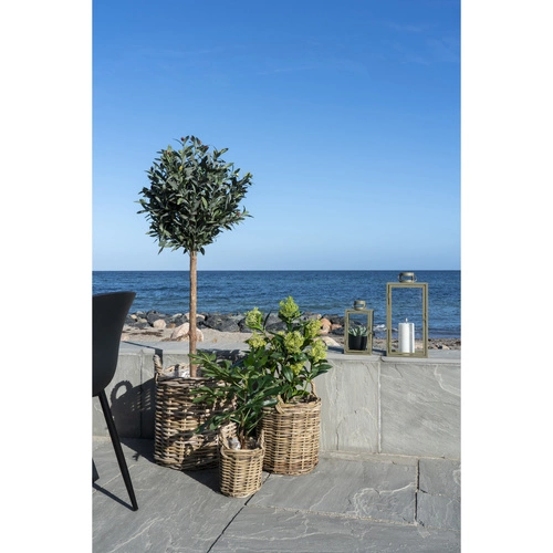 Umělé stromek Skimmia 75 cm Intesi moderní umělé rostliny do obýváku a ložnice