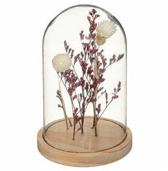 Sušené květiny pod stínidlem Gipso