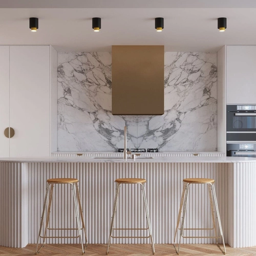 Stropní svítidlo NESI černá