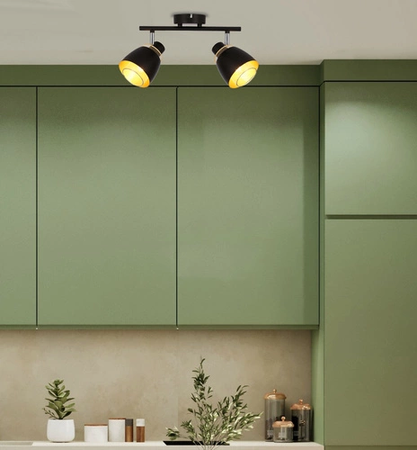 Stropní svítidlo Aleksandria černozlaté nastavitelné do obýváku a ložnice 2bodové