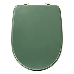 Zelené WC sedátko Duo z duroplastu s pomalým sklápěním moderní