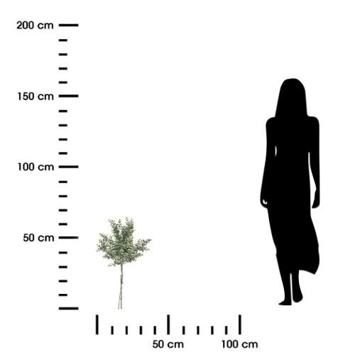 Umělá kytice eukalyptu Atmosphera 64 cm moderní do obýváku nebo jídelny