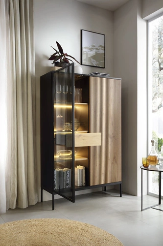 Knihovna do obýváku Novel industriální černá s dubem wotan se zásuvkou a LED Intesi