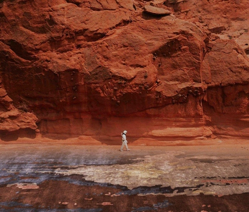 Moderní koberec Alsana Purple 160x230 ručně tkaný do obýváku a ložnice Carpet Decor